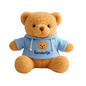 Knuffel teddy beer (gepersonaliseerd)